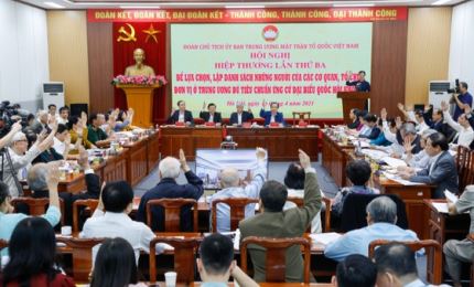 17名越共中央政治局委员参选国会代表