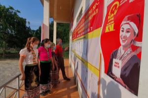 越南多地提前展开大选投票