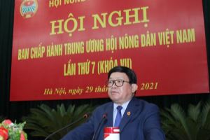 越南农民协会继续发扬主动、创新精神 实现越共十三大决议各项目标