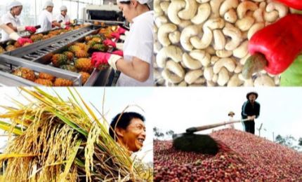 前10个月越南农林水产品贸易顺差达79亿美元