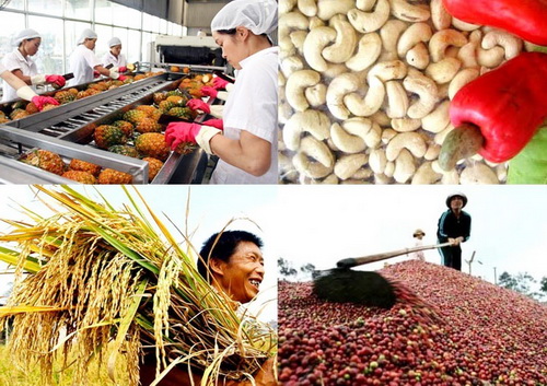 前10个月越南农林水产品贸易顺差达79亿美元（附图）