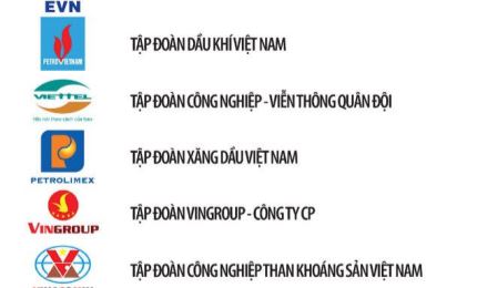 2020年越南企业500强榜单出炉