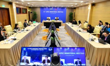 越南政府副总理范平明率团出席第31届亚太经济合作组织部长级会议