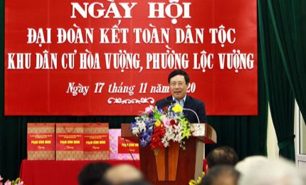 政府副总理范平明出席南定省全民族大团结日活动