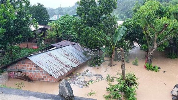 越南中部遭受持续多天的严重洪涝灾害(图源：越通社）