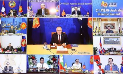 澳大利亚驻东盟大使高度评价越南作为2020年东盟轮值主席国的作用
