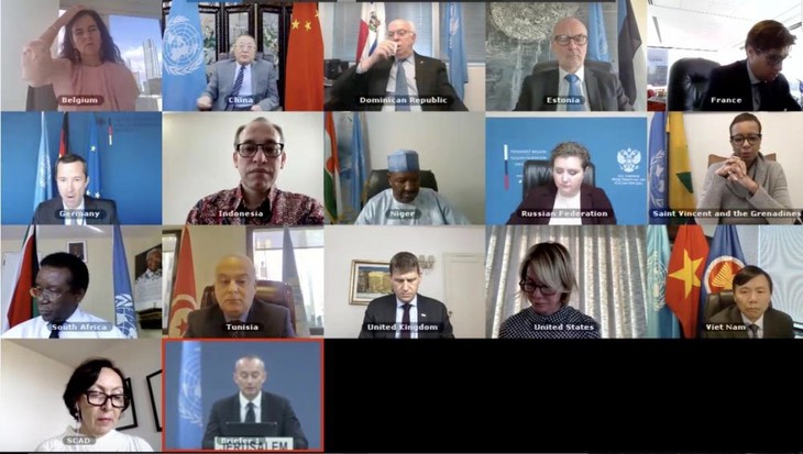 联合国安理会关于中东局势的视频会议（图源：baoquocte.vn）
