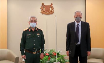 第11次越南和新加坡国防部防务政策对话在新加坡举行