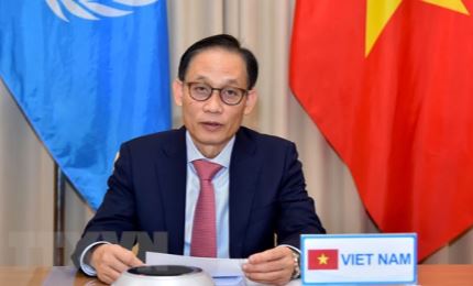 越南出席联合国安理会高级别视频讨论会