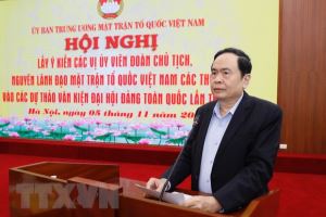 越南祖国阵线中央委员会举行越共十三大文件草案意见征集会