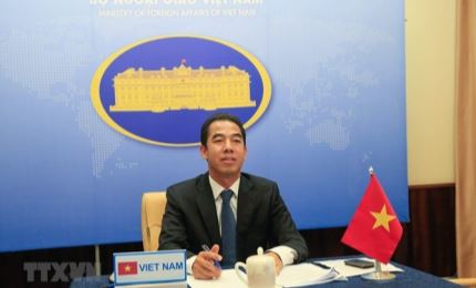 越南与哈萨克斯坦外交部副部长级政治磋商以视频形式召开