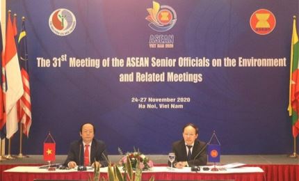 越南与东盟各成员国保持密切合作以解决环境问题