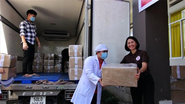 越南巴地头顿省向日本出口首批两吨有机巧克力