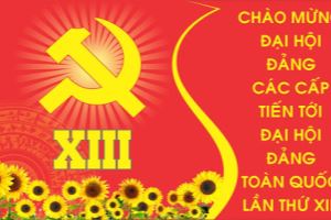 越共十二届中央委员会政治报告草案：力争至二十一世纪中期越南成为社会主义定向的发达国家