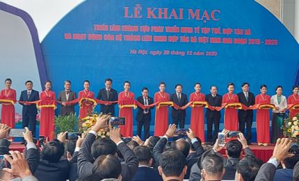 越南合作社和集体经济发展成就展开幕