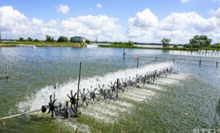 越南水产业力争2021年出口总额达86亿美元