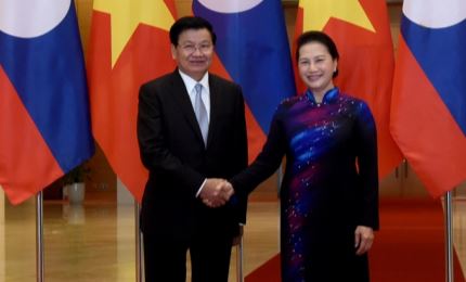 进一步增强越南和老挝国会之间的协力配合