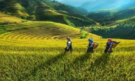 越南努力促进少数民族地区与山区经济社会发展