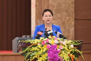越南国会主席阮氏金银出席河内市党代会政治报告草案意见征集会议