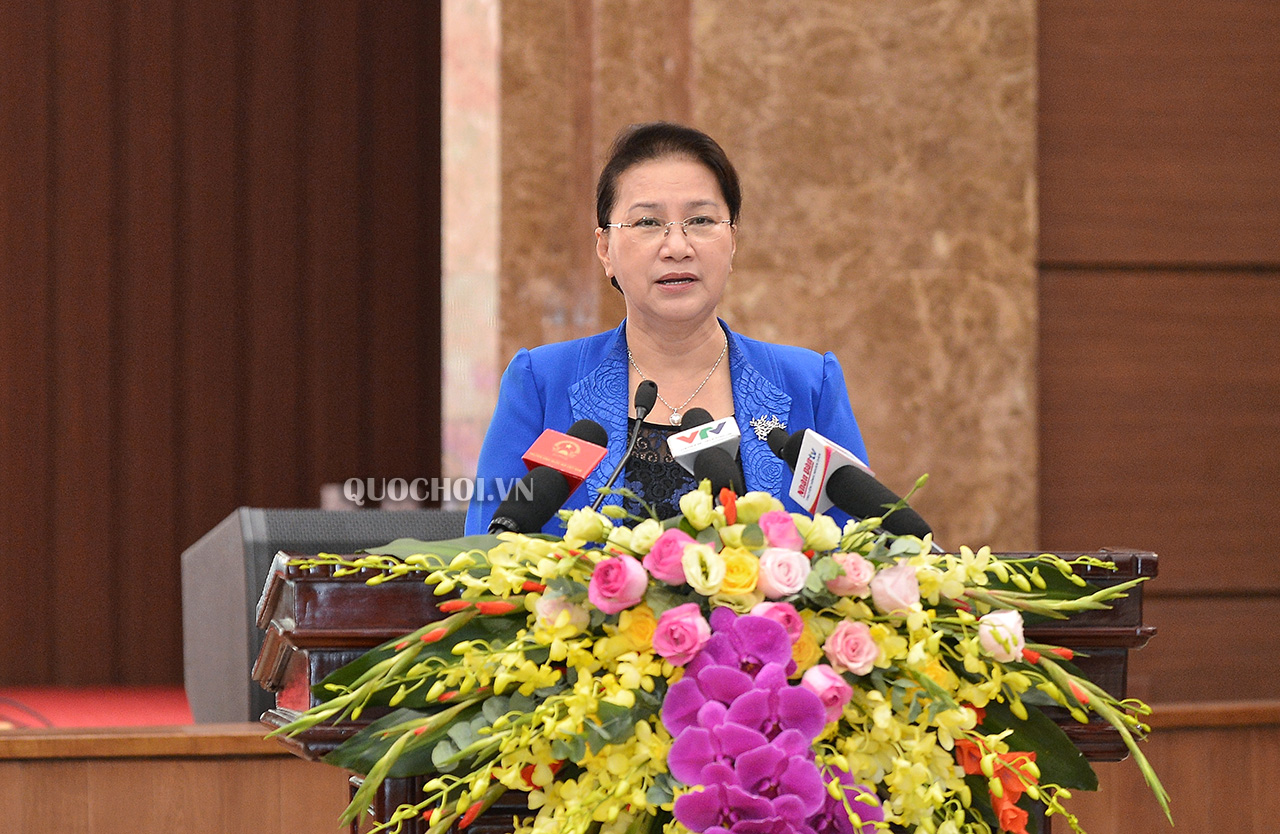 国会主席阮氏金银在会上发表讲话（图：quochoi.vn）