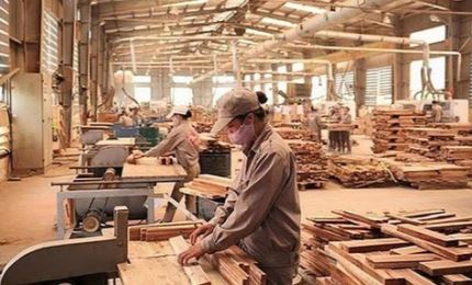 越南力争到2025年木材和林产品出口额达200亿美元