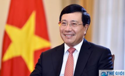 2020年越南外交：新本领和新姿态