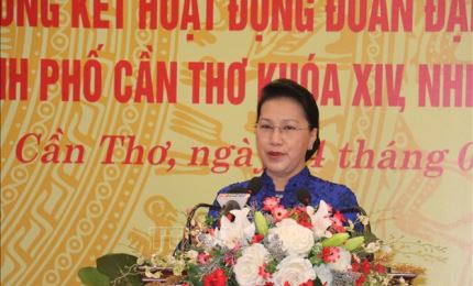 越南国会主席阮氏金银出席芹苴市越南国会首个大选日75周年庆典