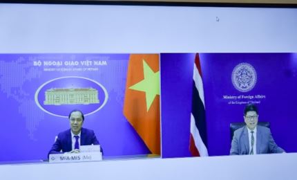 越南外交部副部长阮国勇与泰国外交部常务副书记谭尼举行视频会谈