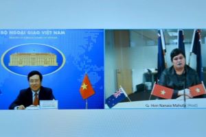 越南与新西兰外交部加强团结协作