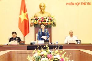 越南国会常委会第54次会议开幕