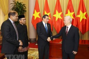 越共中央总书记、国家主席阮富仲会见前来递交国书的三国新任驻越大使