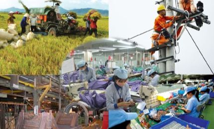 3月1日起越南启动全国经济普查