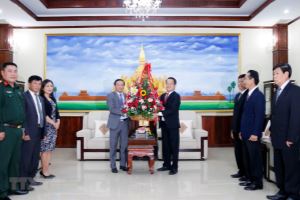 越南祝贺老挝人民革命党成立66周年
