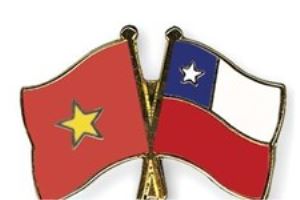 越共中央总书记、国家主席阮富仲与智利总统皮涅拉互致贺电庆祝两国建交50周年