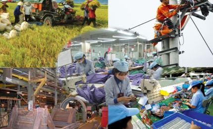 世行：越南在亚洲经济复苏中处于领先地位