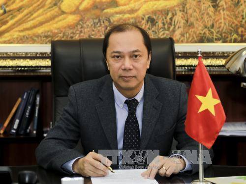 越南外交部副部长、东盟高官会越南代表团团长阮国勇（图：越通社）