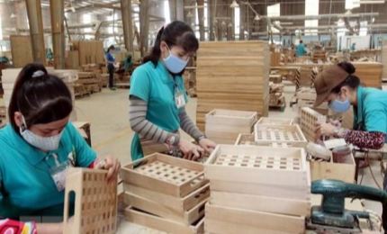 平阳省木材和木制品出口额占全国的近一半