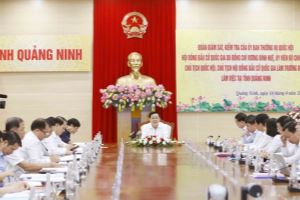 越南国会主席王廷惠前往广宁省视察人民议会换届选举筹备工作