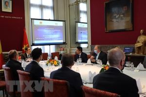 越南驻比利时大使向比利时企业和官员介绍越共十三大结果