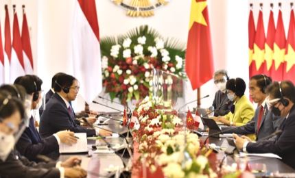 越南政府总理范明正与印尼总统佐科·维多多举行双边会晤