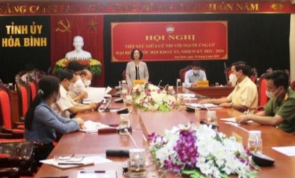 越共中央组织部部长张氏梅出席与和平省选民见面会