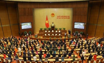 德国专家高度评价越南国会的作用