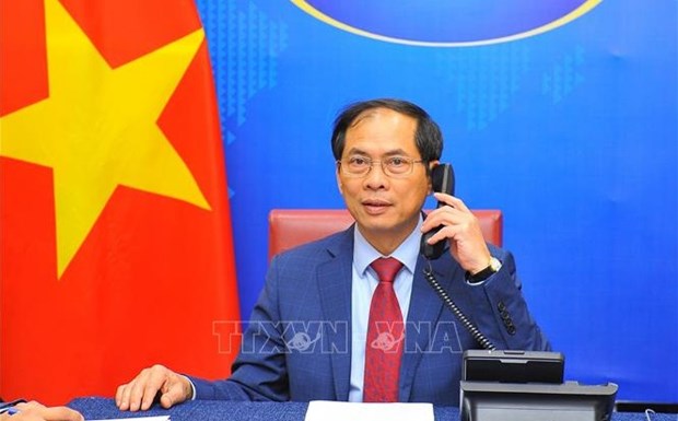 越南外交部部长裴青山（图源：越通社）