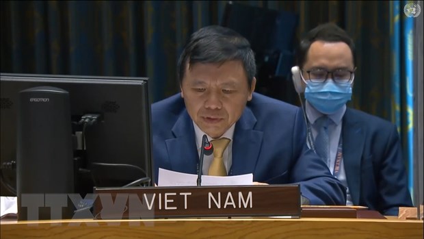 越南常驻联合国代表团团长邓庭贵大使（图：越通社）